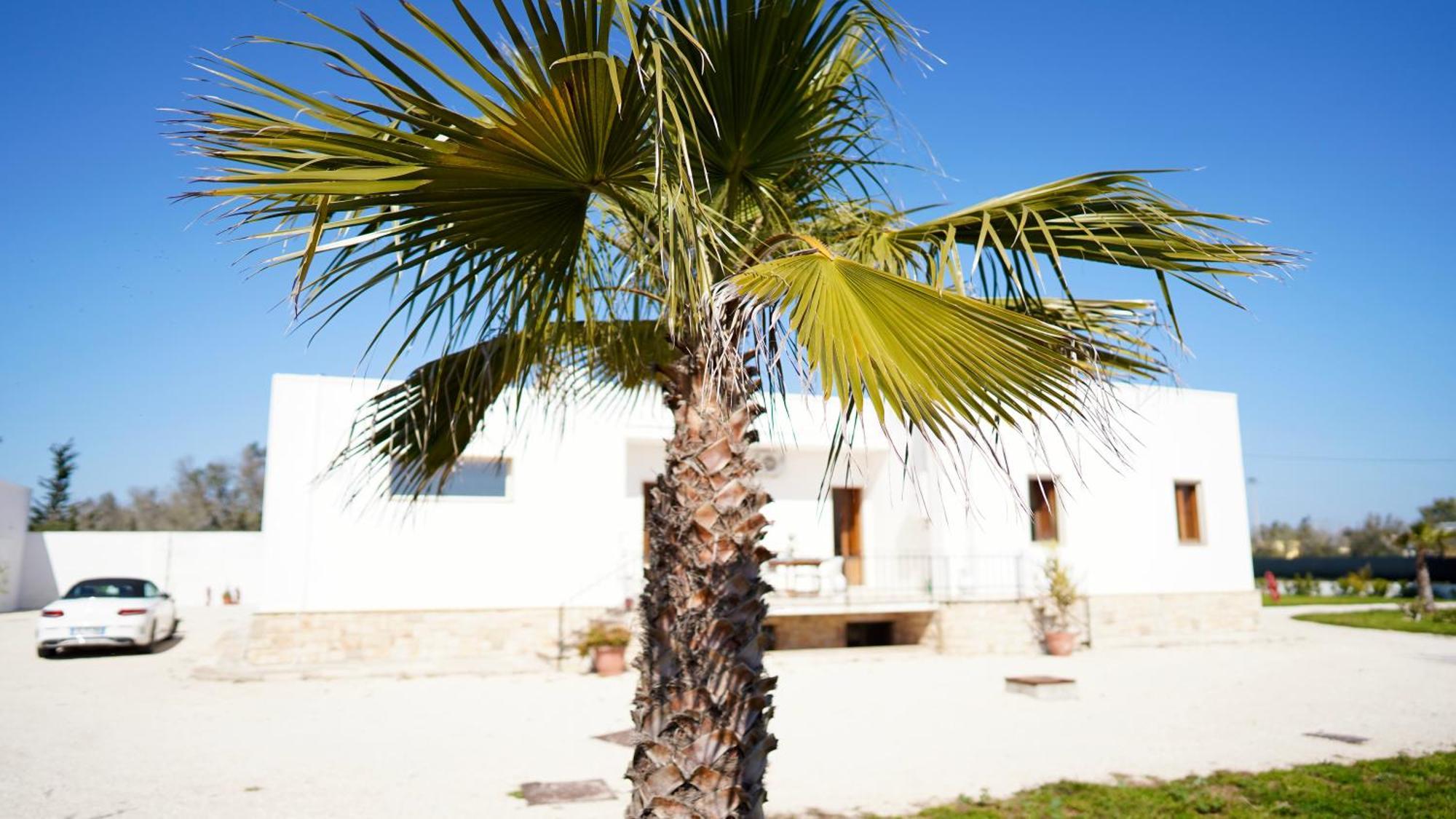 Villa Mia San Ligorio Dış mekan fotoğraf