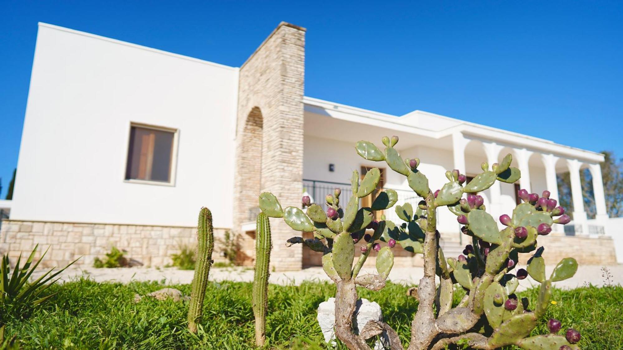 Villa Mia San Ligorio Dış mekan fotoğraf